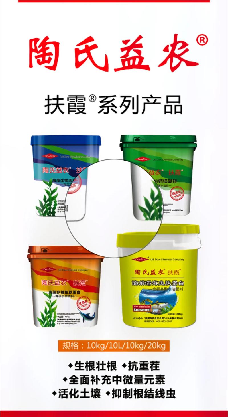 聚焦化肥市场：亳州经济新引擎