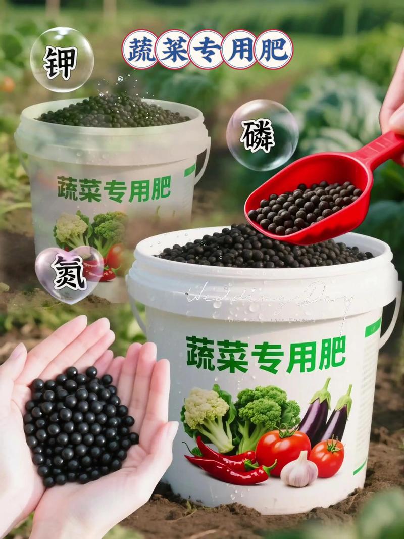 聚焦化肥市场：亳州经济新引擎