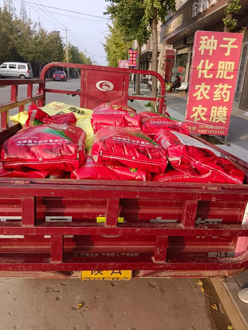 亳州化肥市场动态:迎接农业丰收新希望