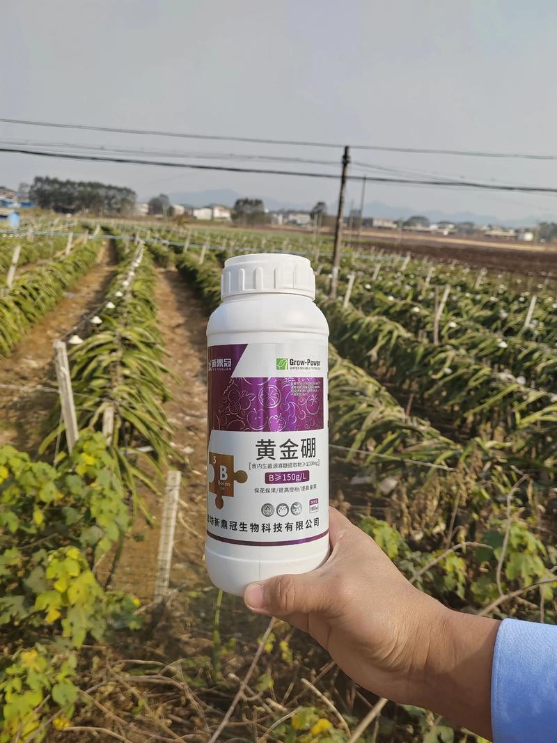 叶面肥